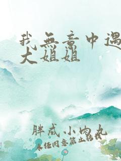 我无意中遇到的大姐姐