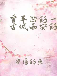 贾平凹的一部以古城西安的长篇小说