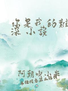 你是我的难得情深 小说