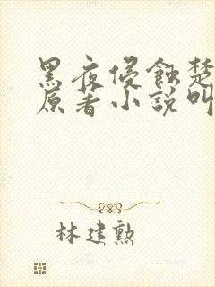 黑夜侵蚀楚辰安原著小说叫什么