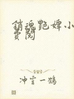 销魂艳婢小说免费阅