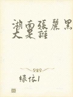 湖南张丽黑人老大是谁