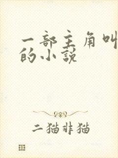 一部主角叫叶辰的小说