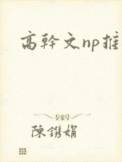 高干文np推荐
