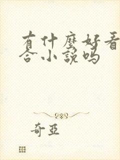 有什么好看的百合小说吗