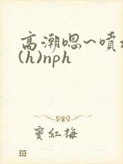 高潮嗯~喷水了(h)nph