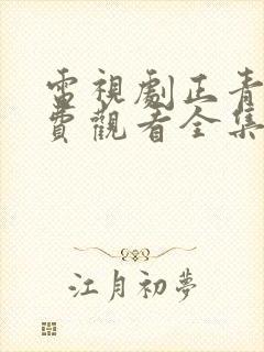 电视剧正青春免费观看全集高清