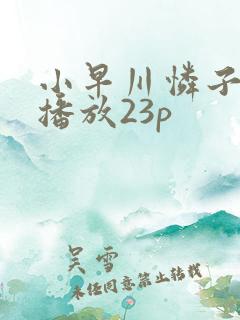 小早川怜子在线播放23p