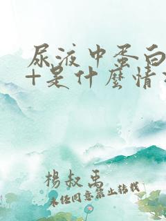 尿液中蛋白质1+是什么情况