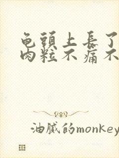 龟头上长了一个肉粒不痛不痒