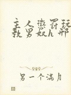 主人惩罚玩弄调教男奴h 邢邦勇著