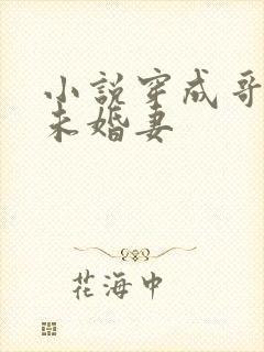 小说穿成哥哥的未婚妻