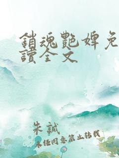 销魂艳婢免费阅读全文