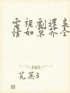 电视剧迟来的深情如草芥全集