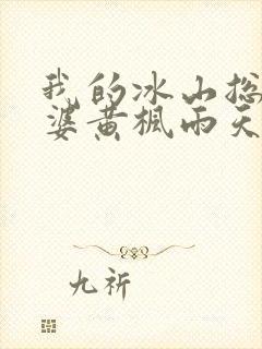 我的冰山总裁老婆黄枫雨天