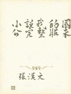 小说我的国民老公完整版未删减小说