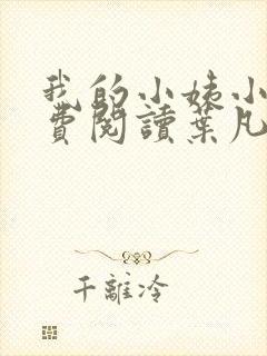 我的小姨小说免费阅读叶凡