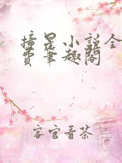 撞星小说全文免费笔趣阁