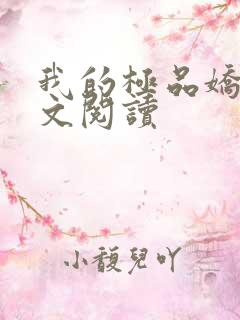 我的极品娇妻全文阅读