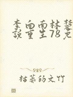 李向南林楚乔小说重生78免费阅读