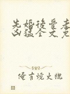 先婚后爱老公很凶猛全文免费