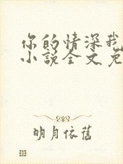 你的情深我不配小说全文免费阅读