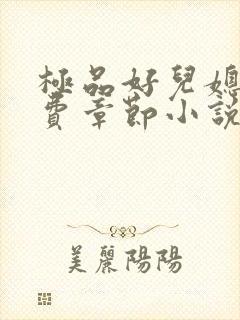 极品好儿媳的免费章节小说全文阅读