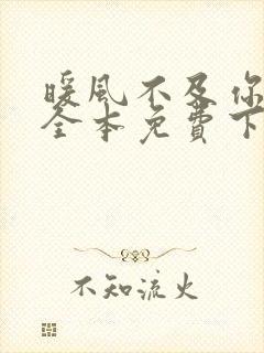 暖风不及你情深全本免费下载