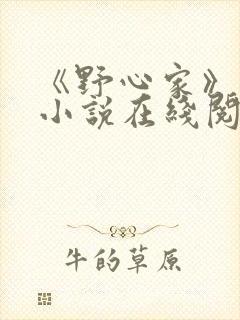 《野心家》原著小说在线阅读