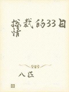 总裁的33日索情