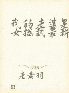 我的老婆是冰山女总裁最新章节读