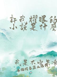 许我耀眼的原著小说是什么