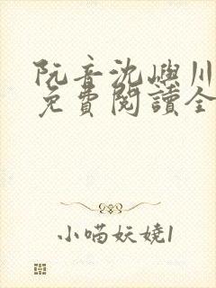 阮音沈屿川小说免费阅读全文