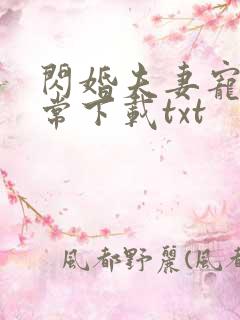 闪婚夫妻宠娃日常下载txt