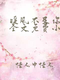 暖风不及你情深全文免费小说