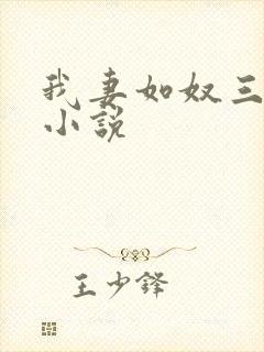 我妻如奴三部曲小说