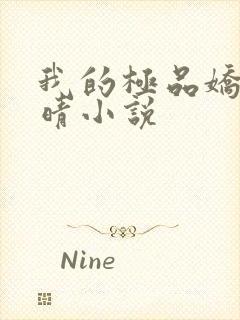 我的极品娇妻苏晴小说