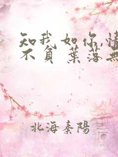 知我如你,情深不负 叶落无心