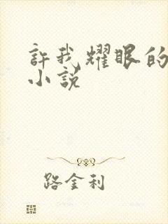 许我耀眼的原著小说