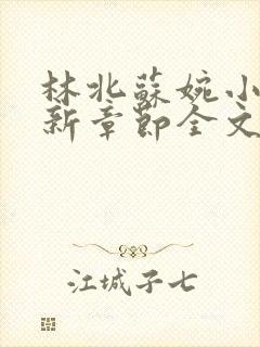 林北苏婉小说最新章节全文阅读