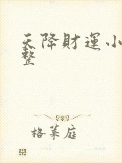 天降财运小说完整