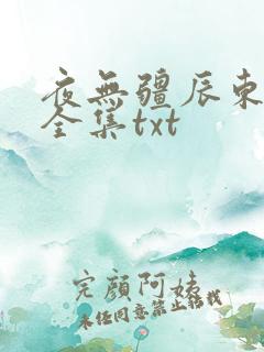 夜无疆辰东小说全集txt