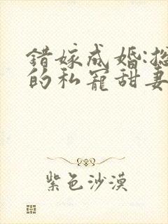 错嫁成婚:总裁的私宠甜妻 短剧