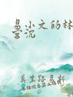 易小文的林知意宫沉