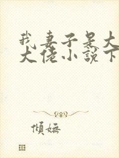 我妻子是大乘期大佬小说下载