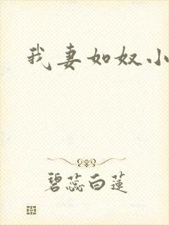 我妻如奴小说