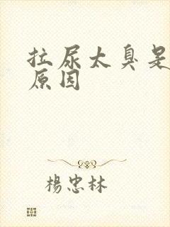 拉尿太臭是什么原因