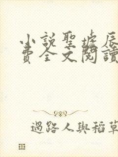 小说圣墟辰东免费全文阅读一