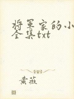 将军家的小娘子全集txt
