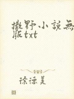 撒野小说无删减版txt